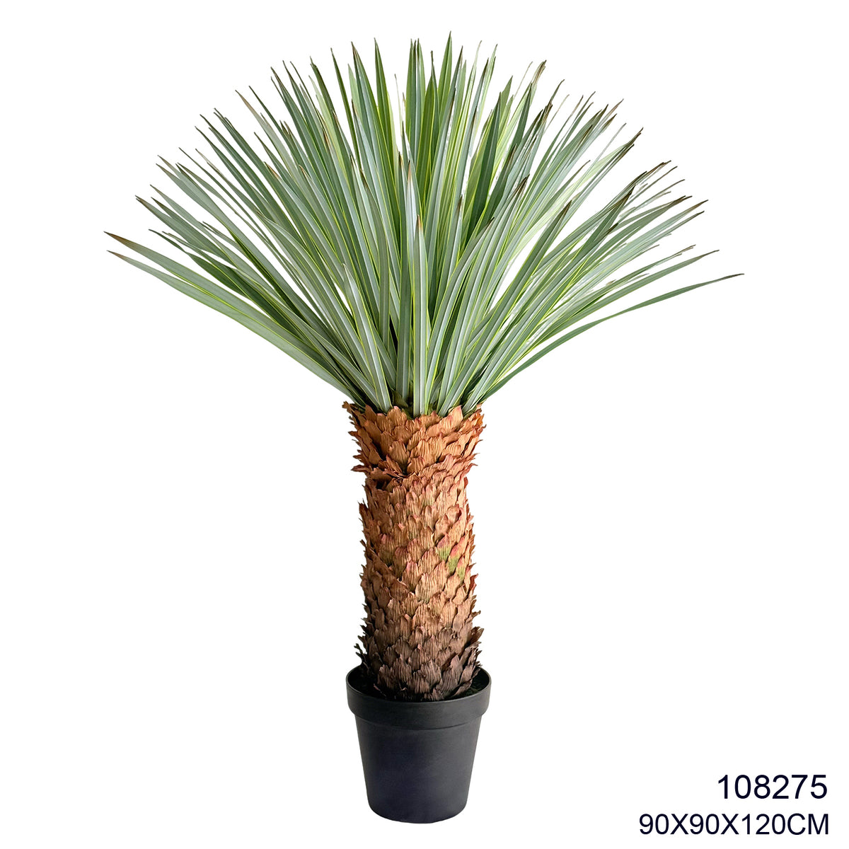 Indoor/Outdoor Plants